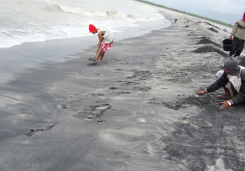 菲律賓含鐵含砂金礦區考察中